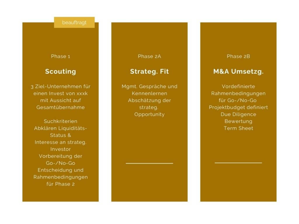 Ergebnisse M & A Opportunities konsultori