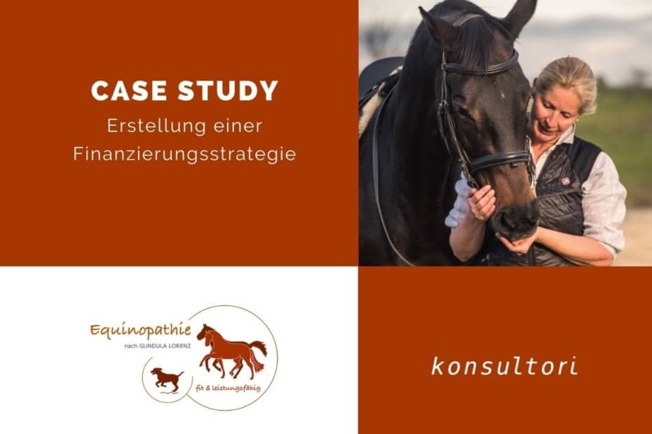 Case Studies Erstellung einer Finanzierungsstrategie