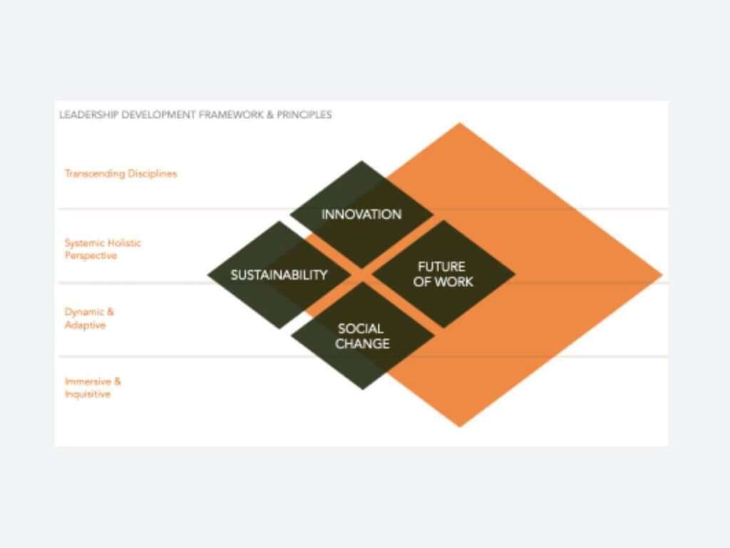 Leadership Development Framework and Principles 1. © Konsultori