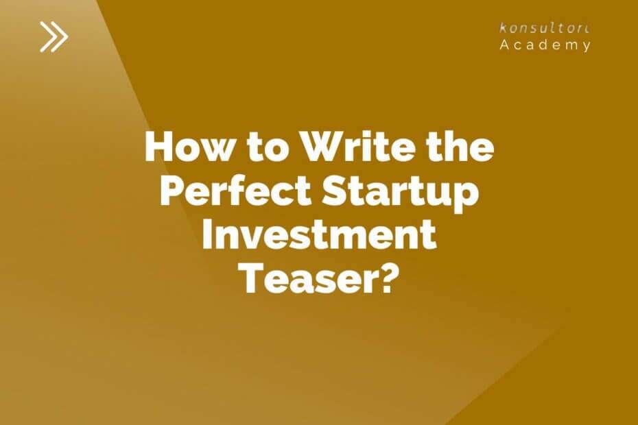 Startup investment teaser