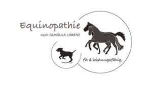 Equinopathie