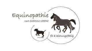 Equinopathie