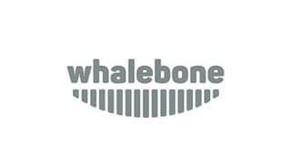 Whalebone